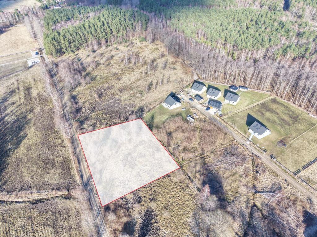 Słoneczna działka budowlana w Sasinie Jarzębinowa - zdjęcie 2