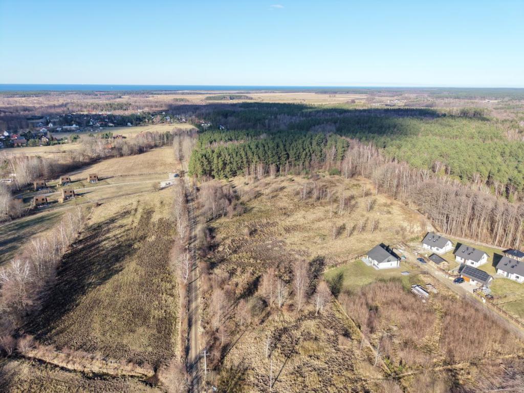 Słoneczna działka budowlana w Sasinie Jarzębinowa - zdjęcie 20