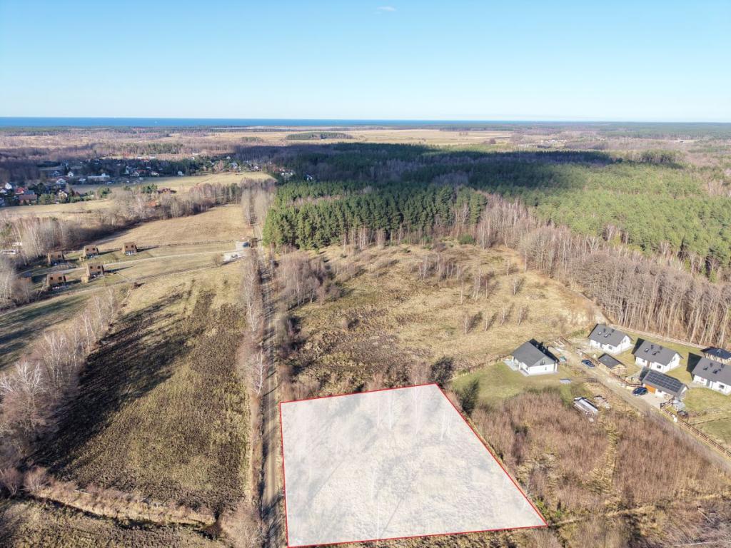 Słoneczna działka budowlana w Sasinie Jarzębinowa - zdjęcie 21