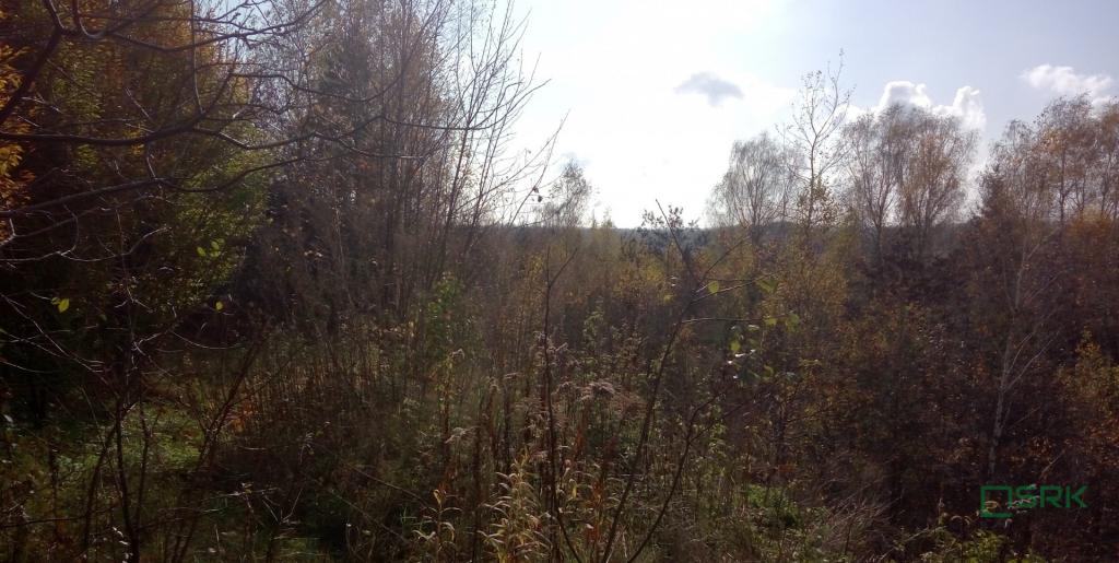Działka inwestycyjna 4,04&nbsp;ha, Będzin, Graniczna - zdjęcie 3