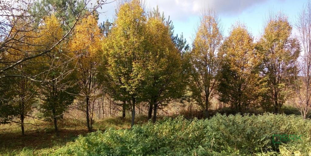 Działka inwestycyjna 4,04&nbsp;ha, Będzin, Graniczna - zdjęcie 4