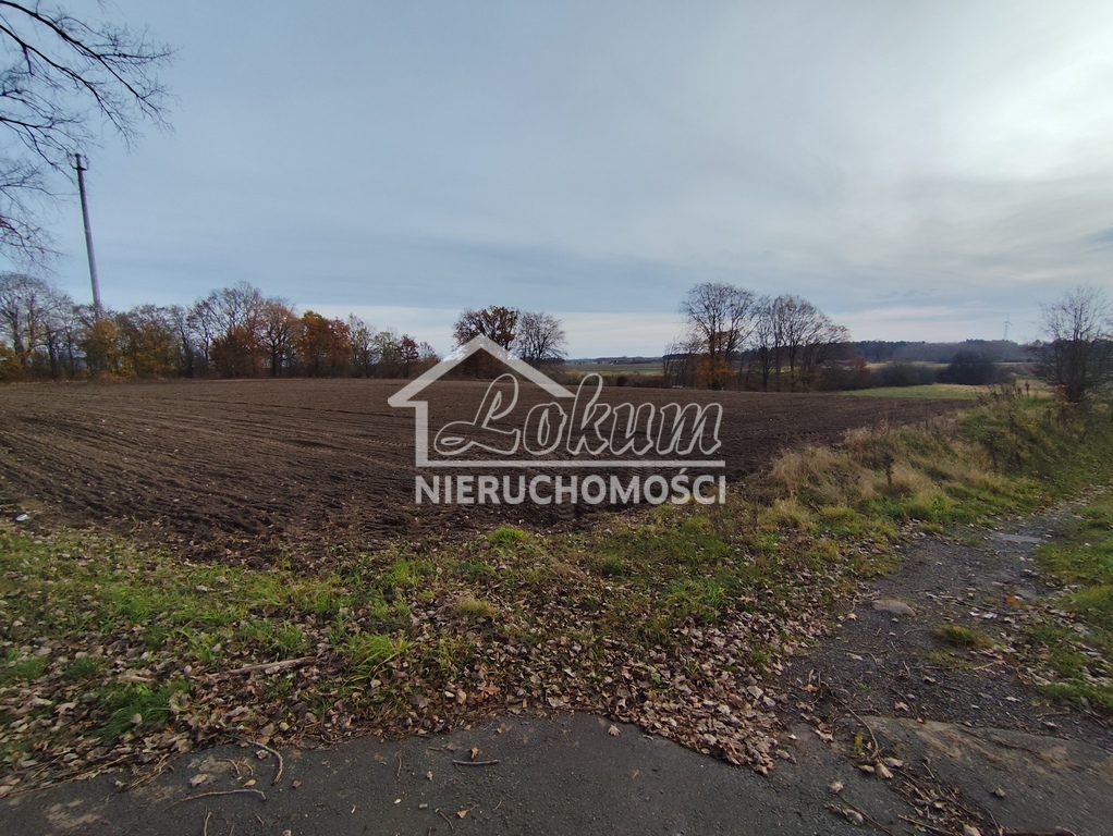 Działka inwestycyjna 1,22&nbsp;ha, Wojcieszyn - zdjęcie 6