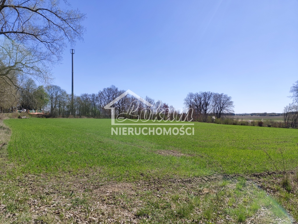 Działka inwestycyjna 1,22&nbsp;ha, Wojcieszyn - zdjęcie 7