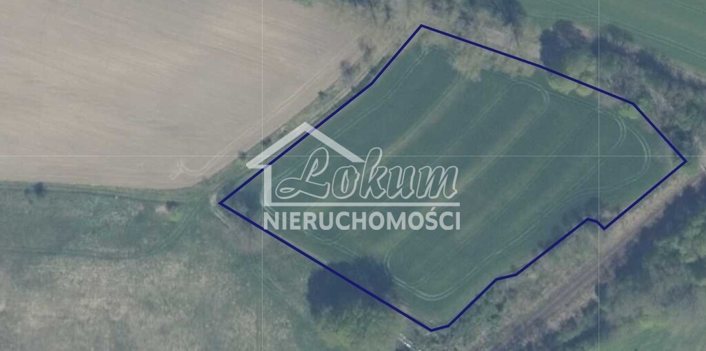 Działka inwestycyjna 1,22&nbsp;ha, Wojcieszyn - zdjęcie 4