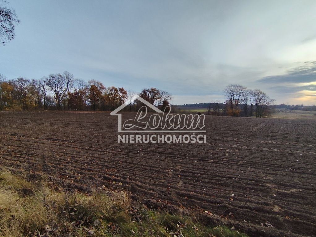 Działka inwestycyjna 1,22&nbsp;ha, Wojcieszyn - zdjęcie 5