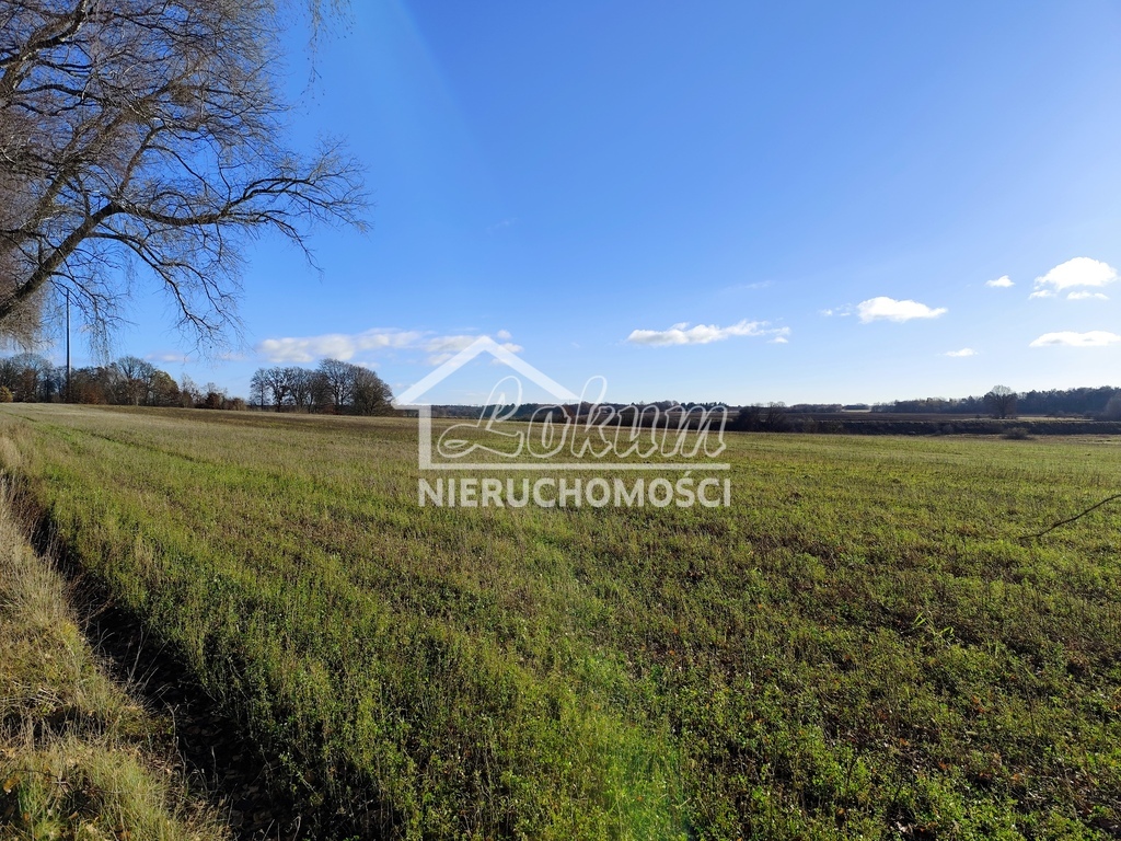 Działka inwestycyjna 3,25&nbsp;ha, Wojcieszyn - zdjęcie 4