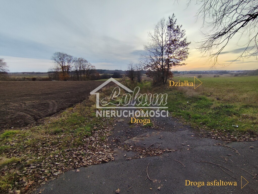 Działka inwestycyjna 3,25&nbsp;ha, Wojcieszyn - zdjęcie 8