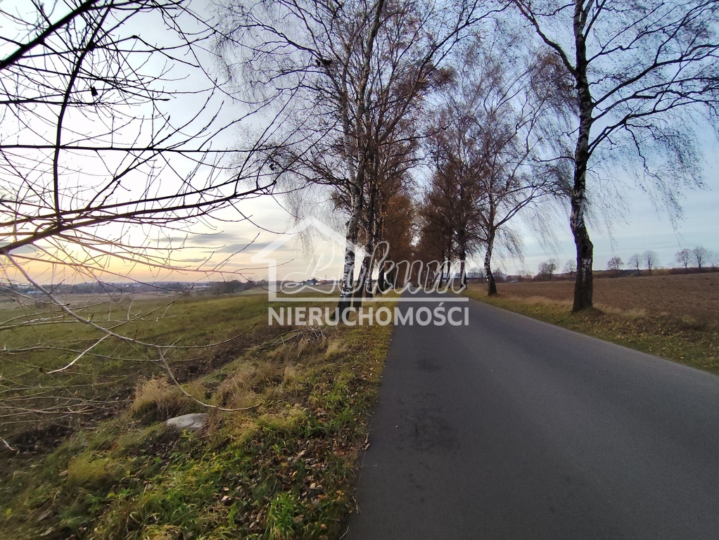 Działka inwestycyjna 3,25&nbsp;ha, Wojcieszyn - zdjęcie 9