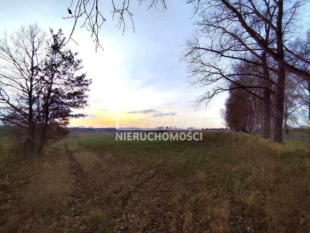 Działka inwestycyjna 3,25&nbsp;ha, Wojcieszyn - zdjęcie 7