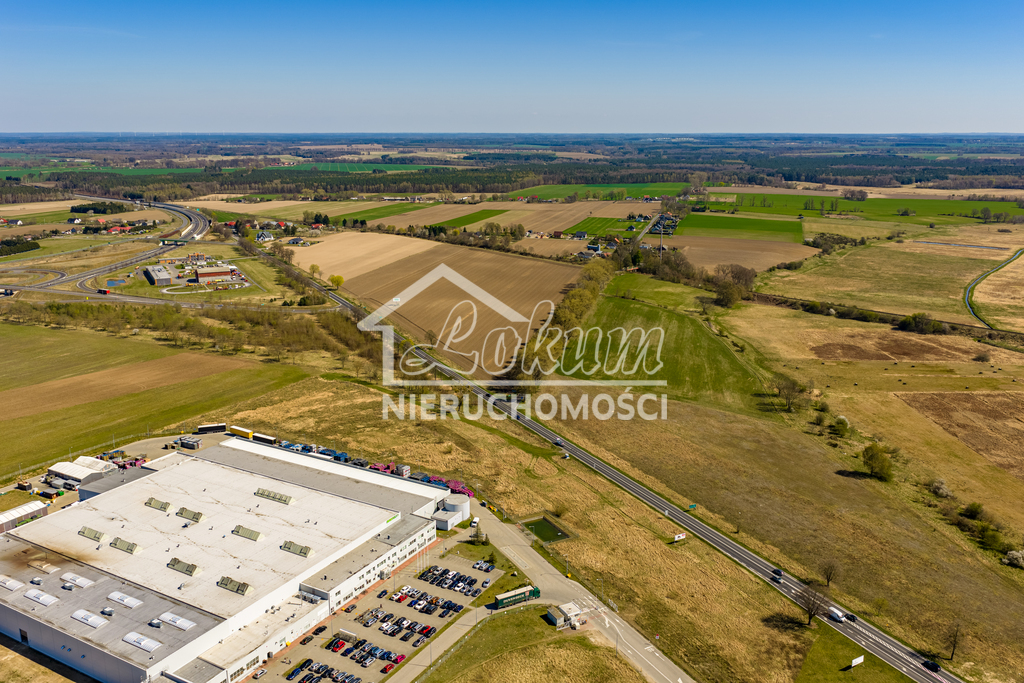 Działka inwestycyjna 3,25&nbsp;ha, Wojcieszyn - zdjęcie 2