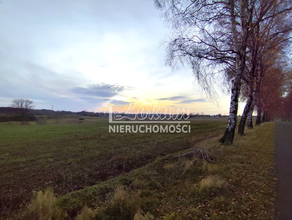 Działka inwestycyjna 3,25&nbsp;ha, Wojcieszyn - zdjęcie 6