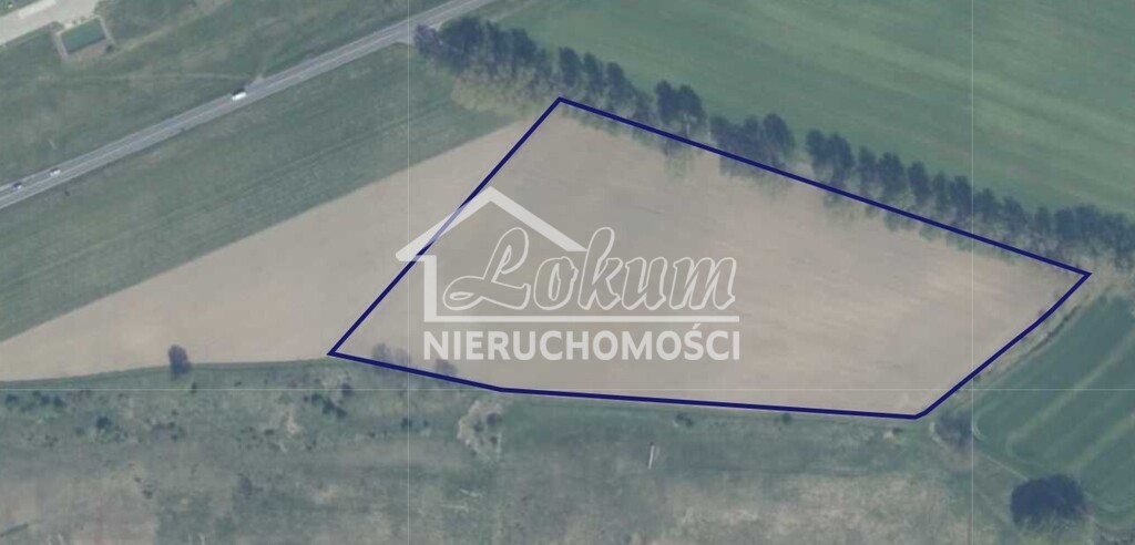 Działka inwestycyjna 3,25&nbsp;ha, Wojcieszyn - zdjęcie 5