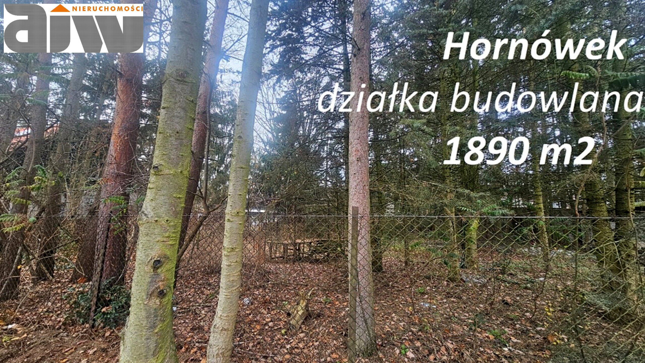 Hornówek działka 1890 m2 - zdjęcie 1