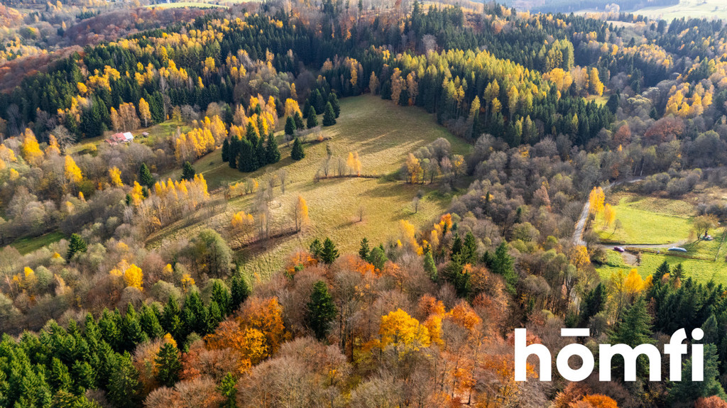 Działka budowlana 6400 m², Kocioł - zdjęcie 10