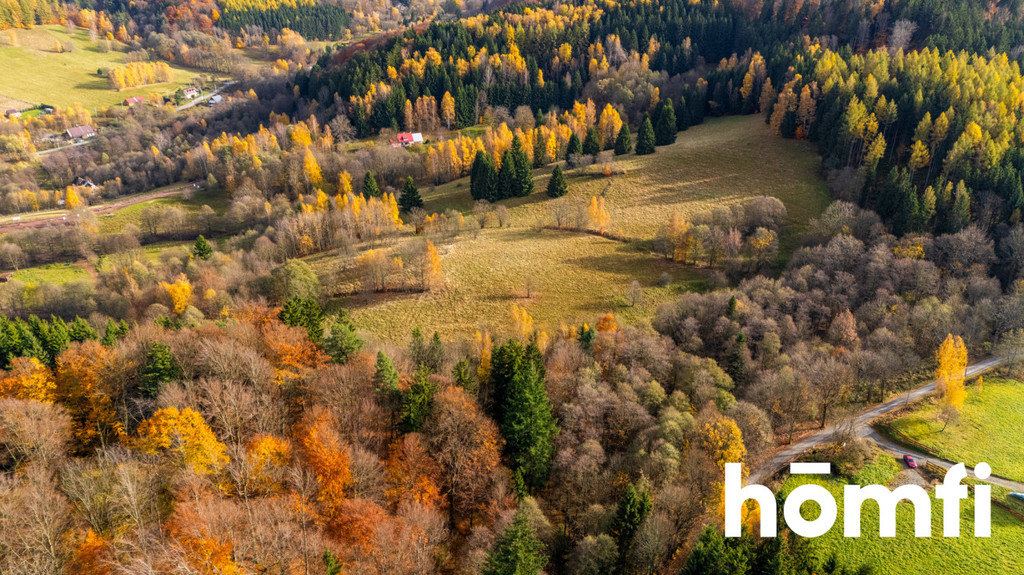 Działka budowlana 6400 m², Kocioł - zdjęcie 11