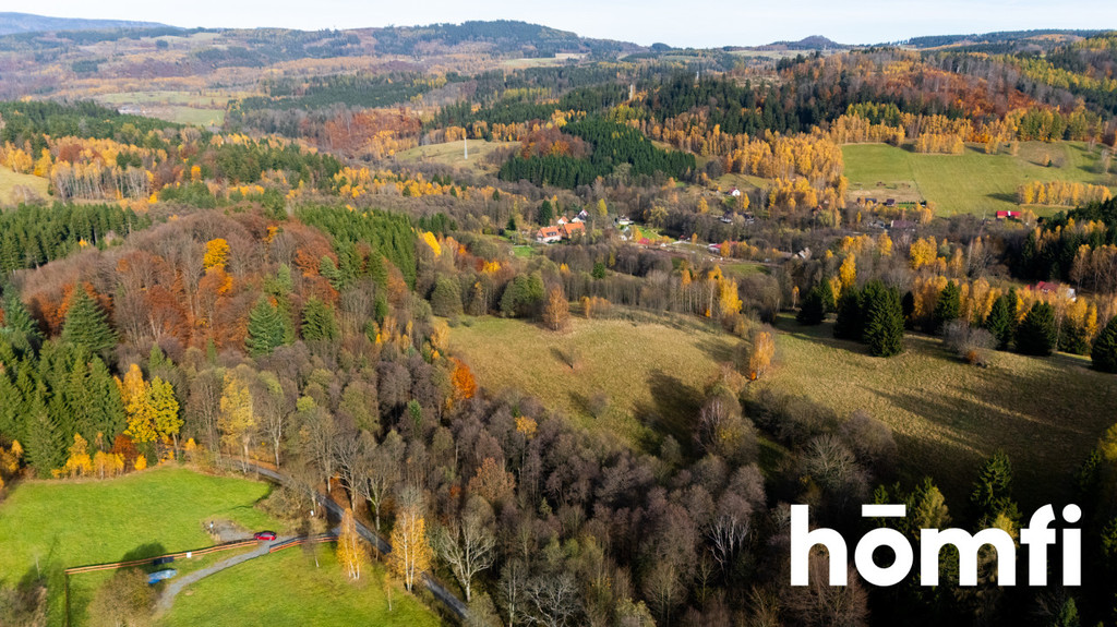 Działka budowlana 6400 m², Kocioł - zdjęcie 2