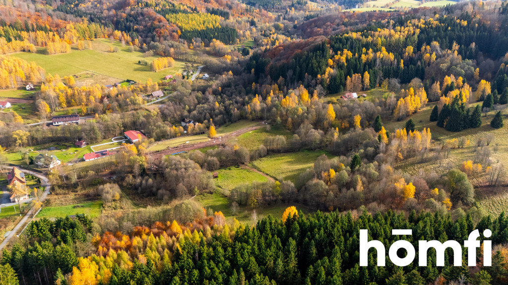 Działka budowlana 6400 m², Kocioł - zdjęcie 9