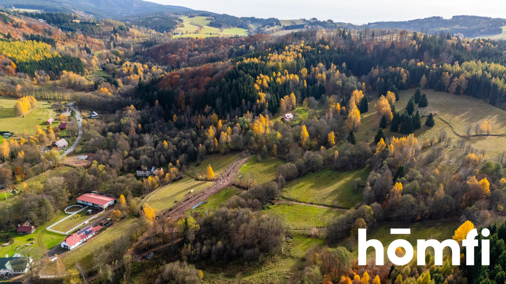 Działka budowlana 6400 m², Kocioł - zdjęcie 8