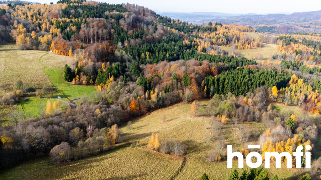 Działka rekreacyjna 3728 m², Kocioł - zdjęcie 4