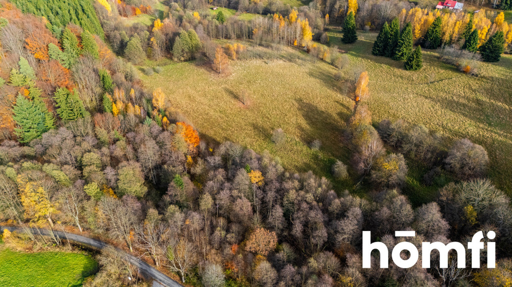 Działka rekreacyjna 3728 m², Kocioł - zdjęcie 15