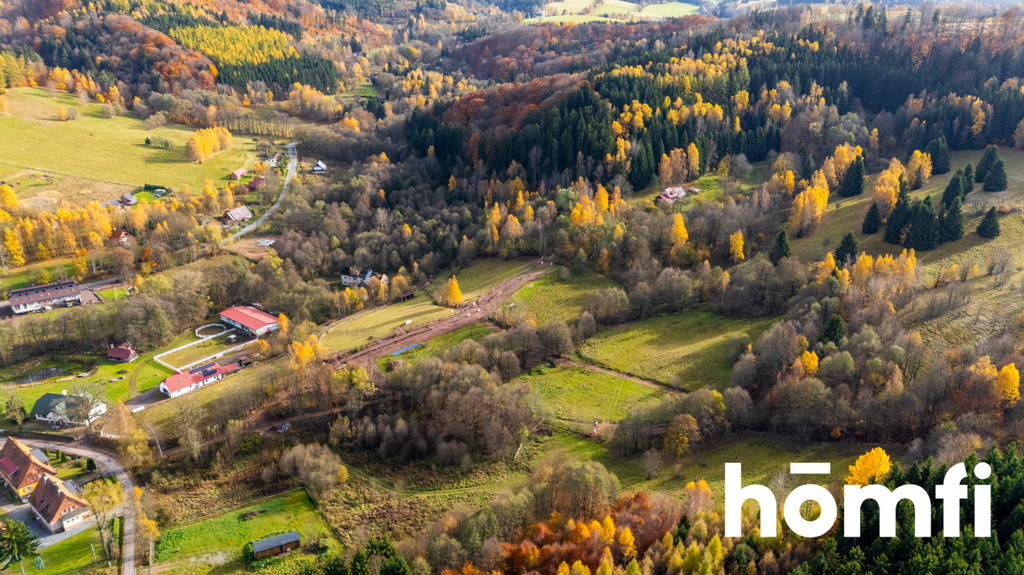 Działka rekreacyjna 3728 m², Kocioł - zdjęcie 10