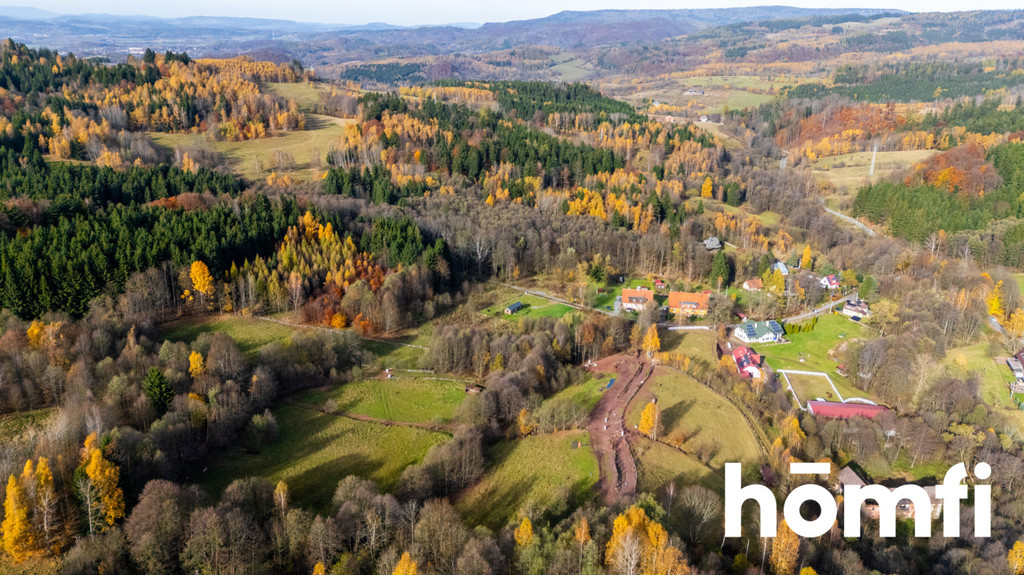 Działka rekreacyjna 3728 m², Kocioł - zdjęcie 6