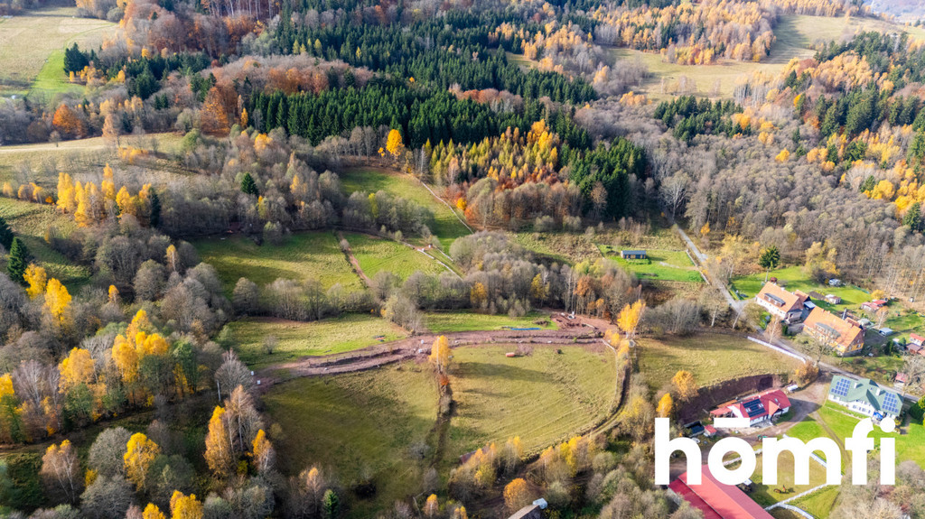 Działka rekreacyjna 3728 m², Kocioł - zdjęcie 9