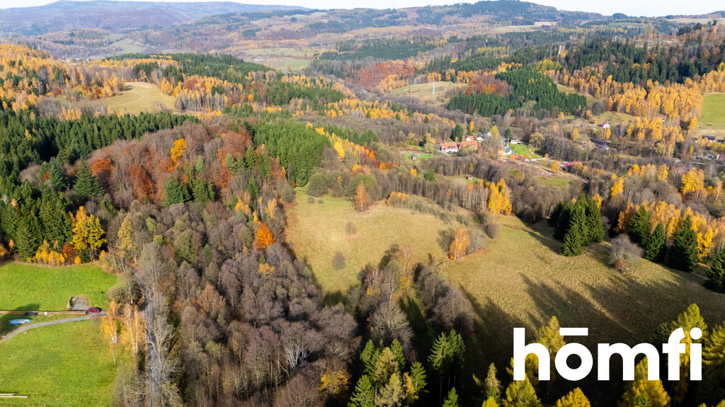 Działka rekreacyjna 3728 m², Kocioł - zdjęcie 1