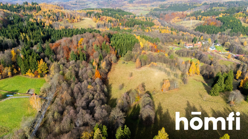 Działka rekreacyjna 3728 m², Kocioł - zdjęcie 2