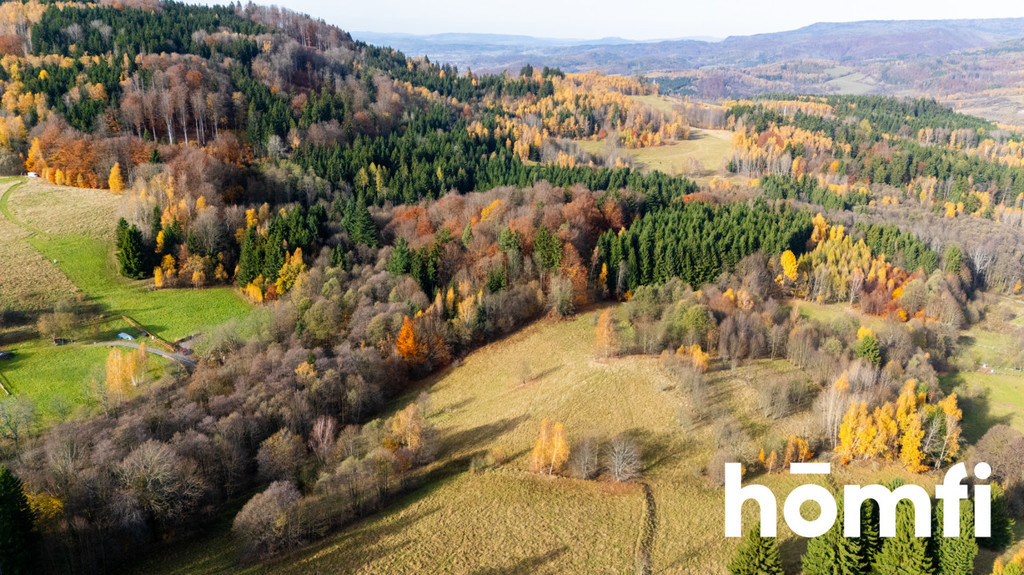 Działka rekreacyjna 3728 m², Kocioł - zdjęcie 3