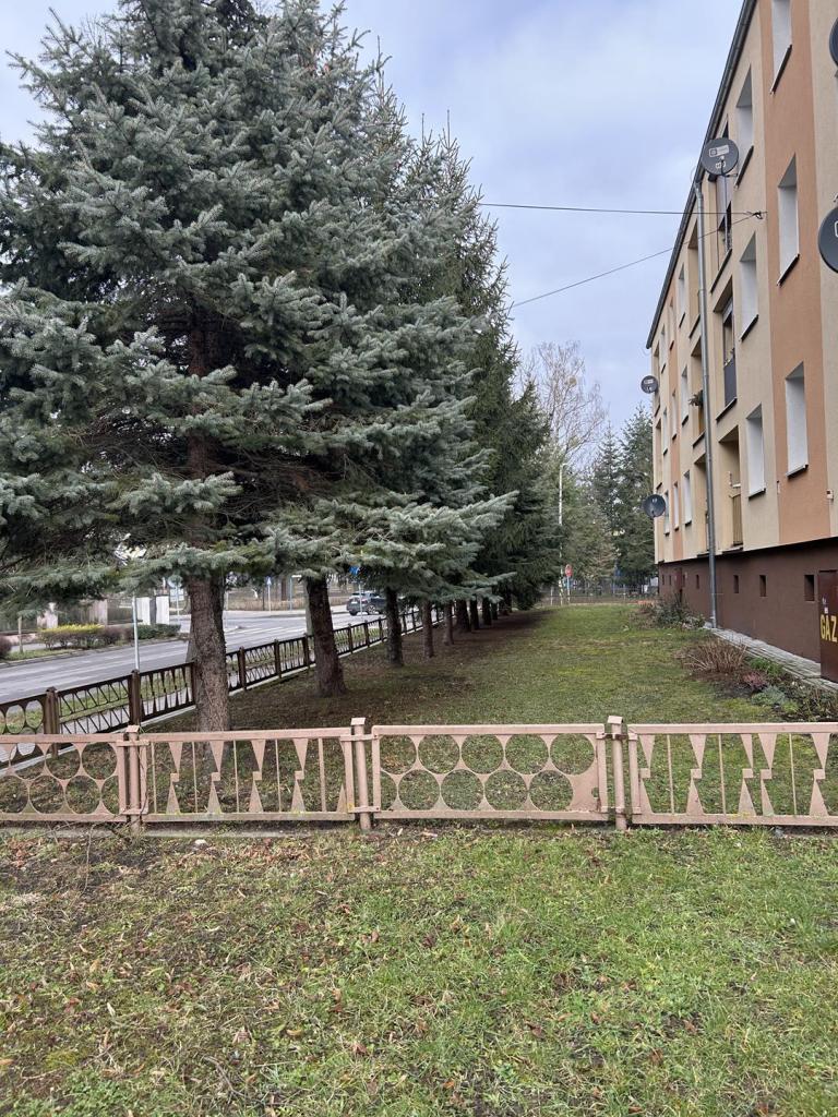 Mieszkanie 29&nbsp;m², Sulechów - zdjęcie 11