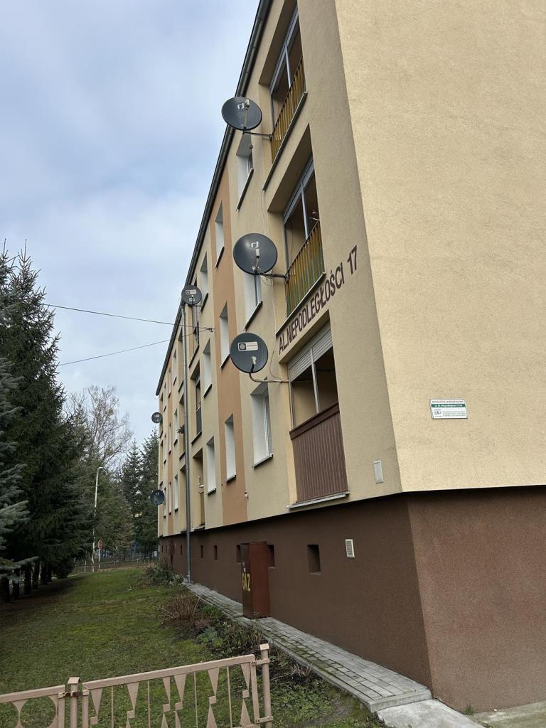 Mieszkanie 29&nbsp;m², Sulechów - zdjęcie 9