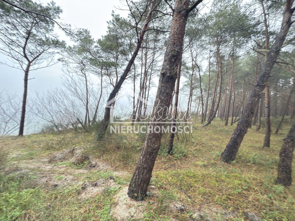 Mieszkanie 43,82&nbsp;m², Międzywodzie, Westerplatte - zdjęcie 17