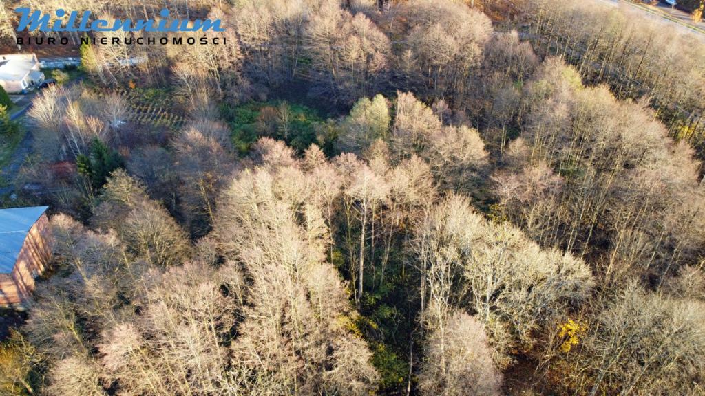 A może chcesz prowadzić spływy kajakowe? - zdjęcie 5