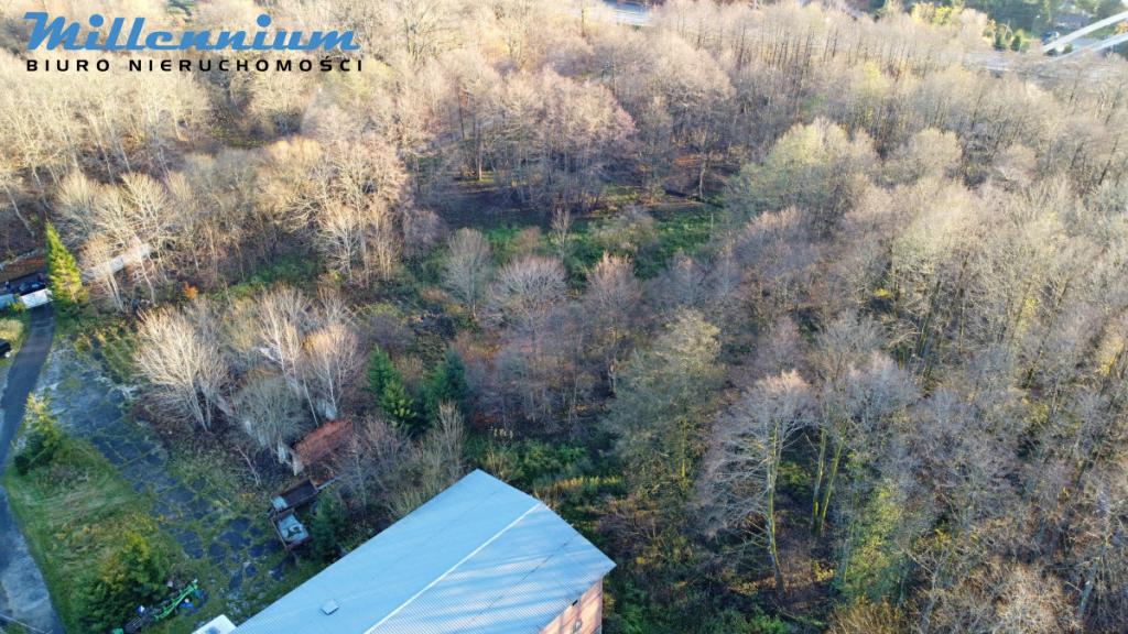 A może chcesz prowadzić spływy kajakowe? - zdjęcie 4