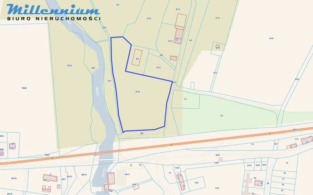 A może chcesz prowadzić spływy kajakowe? - zdjęcie 8