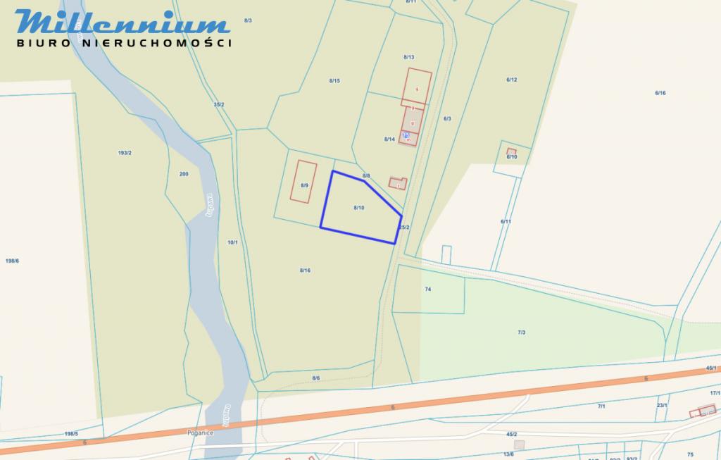 A może chcesz prowadzić spływy kajakowe? - zdjęcie 9