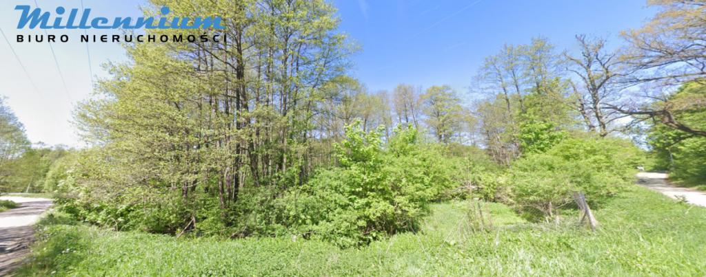 A może chcesz prowadzić spływy kajakowe? - zdjęcie 1