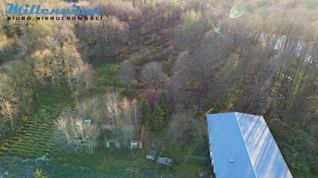 A może chcesz prowadzić spływy kajakowe? - zdjęcie 3