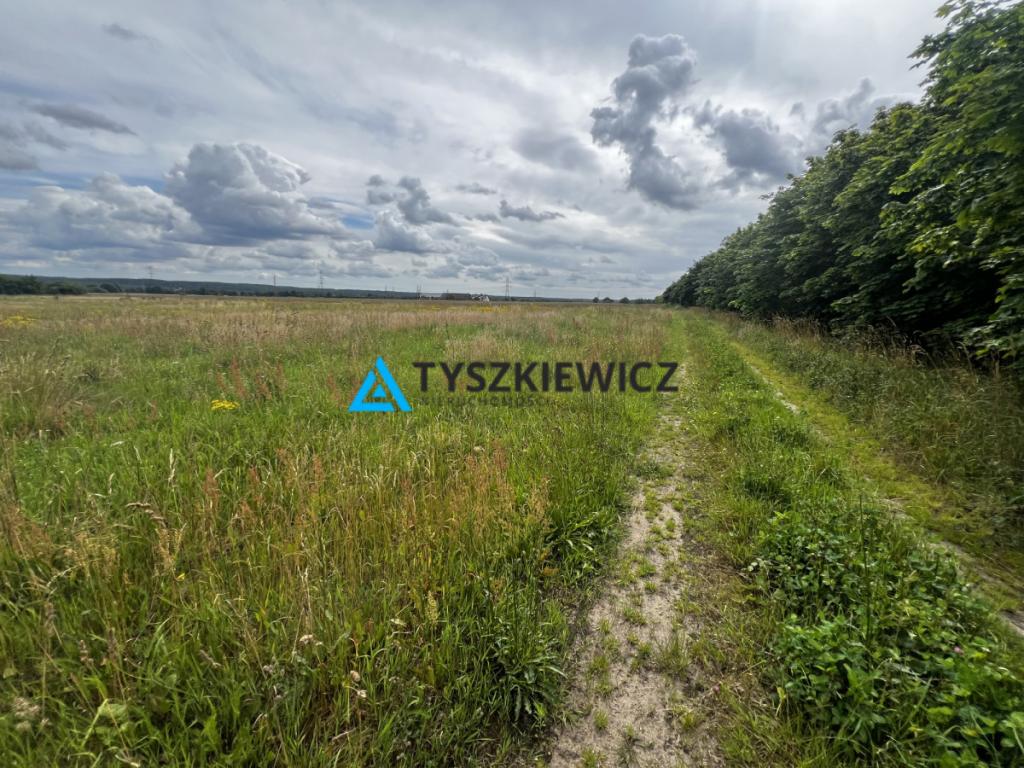 3 niezależne działki • Zamostne, gmina Wejher - zdjęcie 1