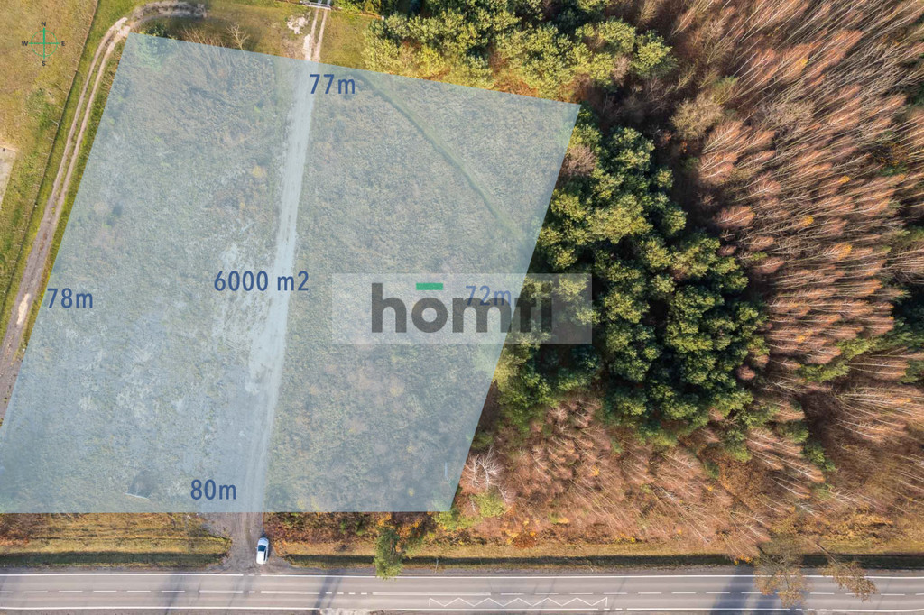 Działka rekreacyjna 6000&nbsp;m², Nowy Karolinów - zdjęcie 2
