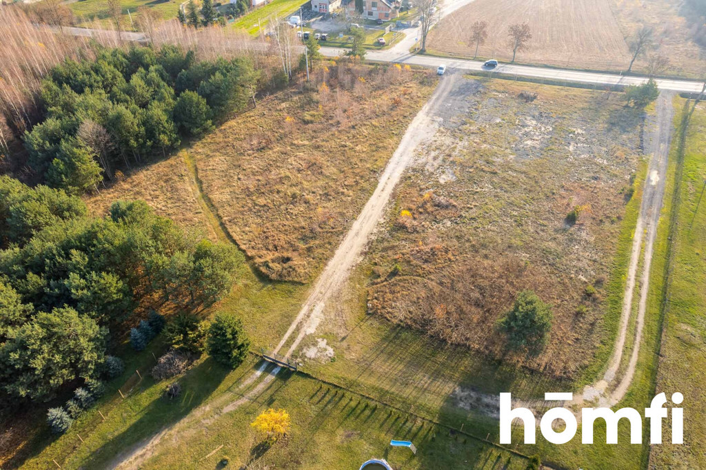 Działka rekreacyjna 6000&nbsp;m², Nowy Karolinów - zdjęcie 12