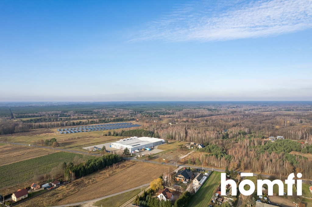 Działka rekreacyjna 6000&nbsp;m², Nowy Karolinów - zdjęcie 5