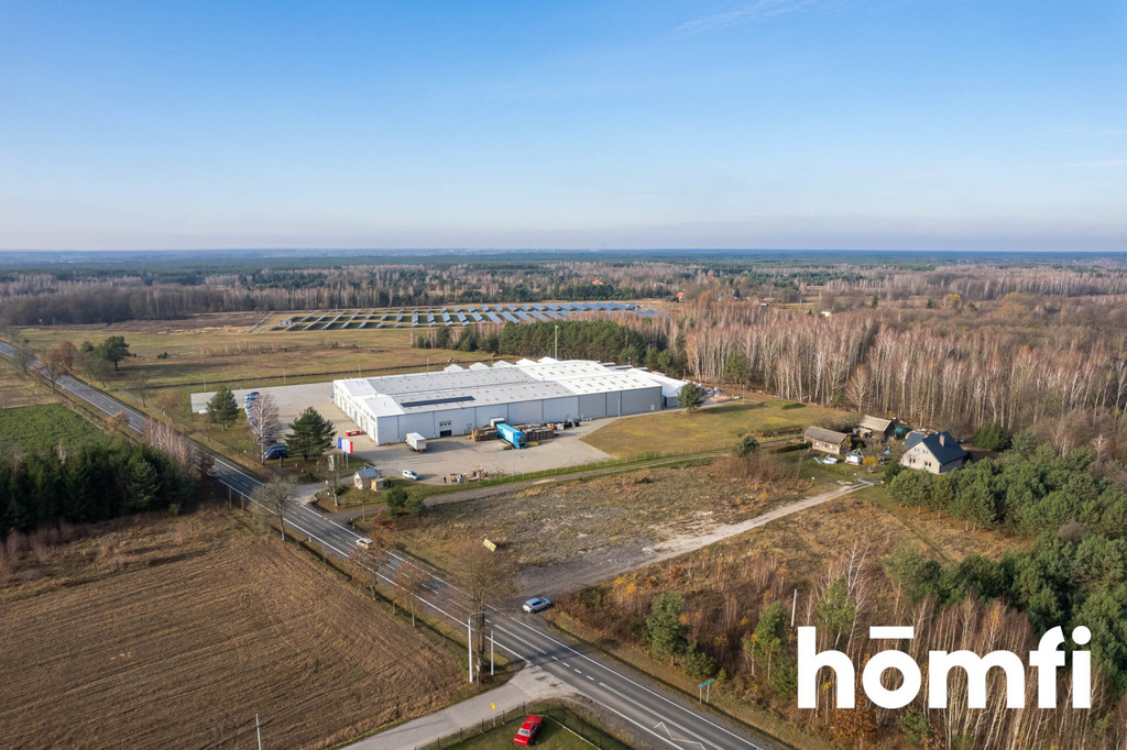 Działka rekreacyjna 6000&nbsp;m², Nowy Karolinów - zdjęcie 3