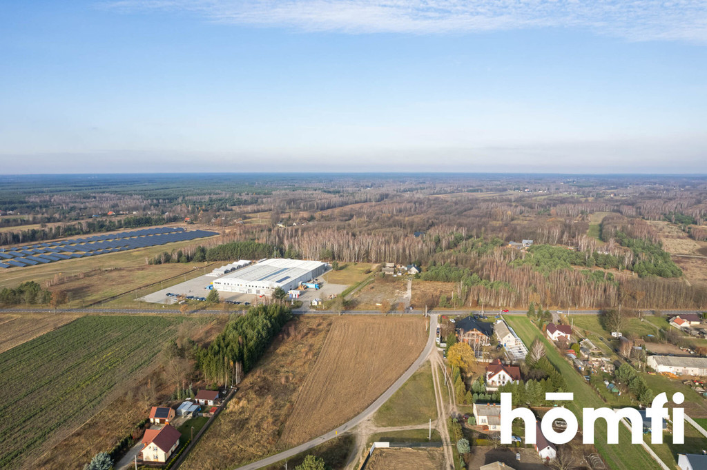 Działka rekreacyjna 6000&nbsp;m², Nowy Karolinów - zdjęcie 6
