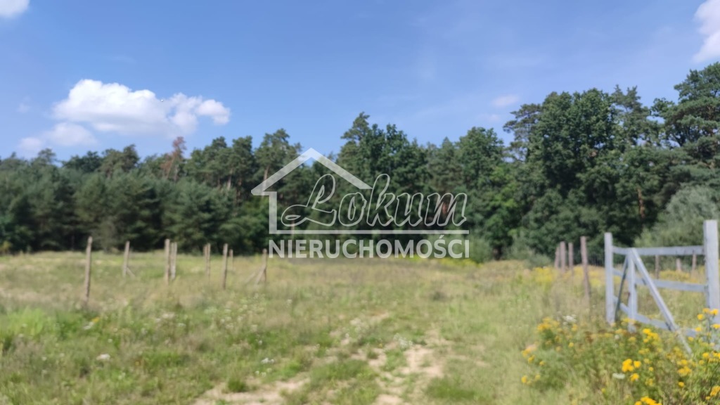 Działka budowlana 2439&nbsp;m², Kościno - zdjęcie 3