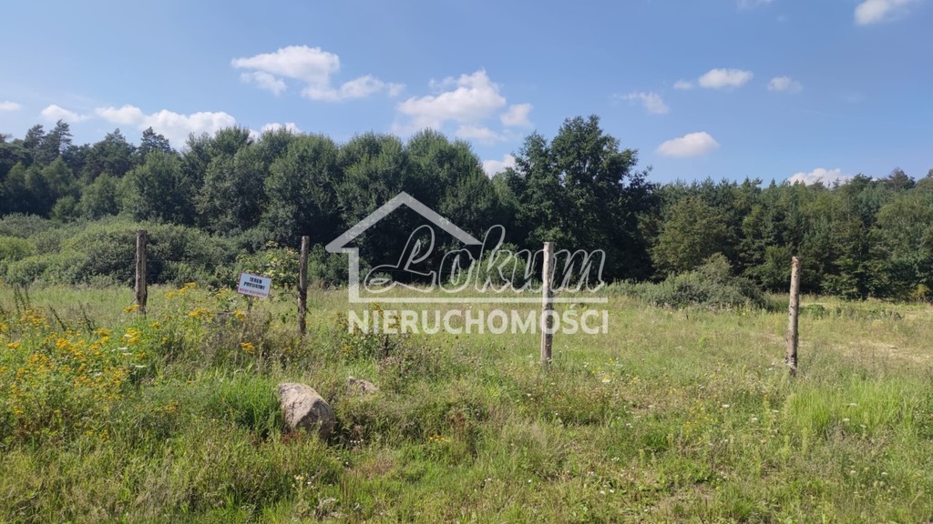 Działka budowlana 2439&nbsp;m², Kościno - zdjęcie 5