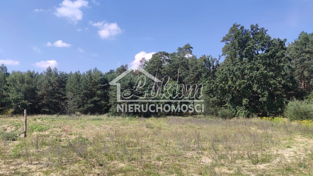 Działka budowlana 2439&nbsp;m², Kościno - zdjęcie 1