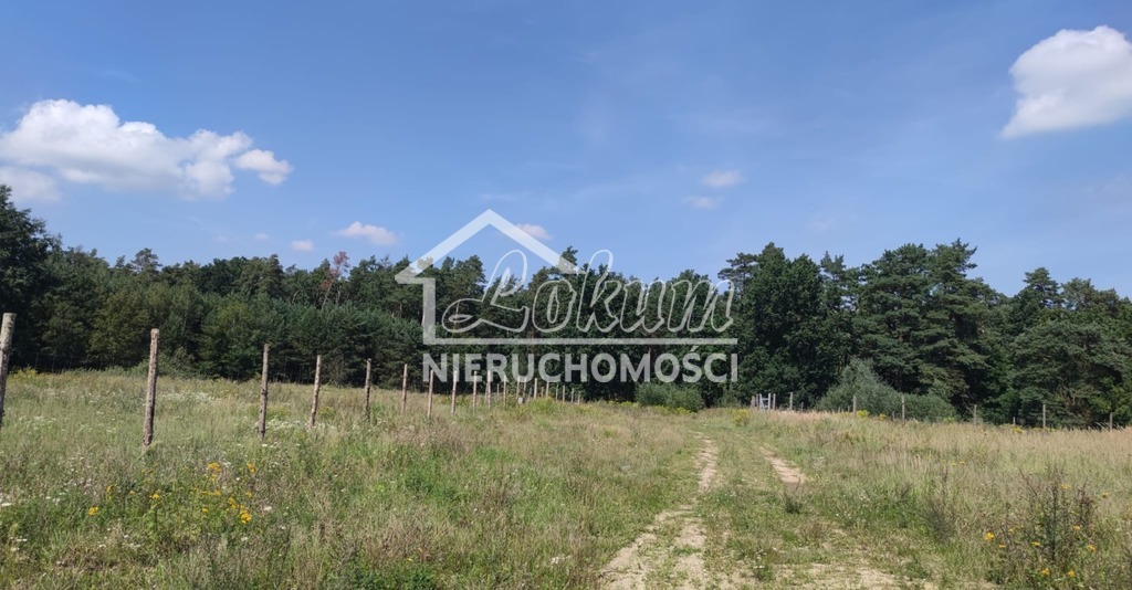 Działka budowlana 2439&nbsp;m², Kościno - zdjęcie 4