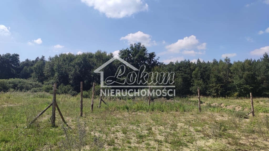 Działka budowlana 2439&nbsp;m², Kościno - zdjęcie 2